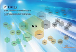 沈陽品牌設計策劃全鏈條服務 從VI、畫冊到店面裝修與互聯網營銷的整合方案