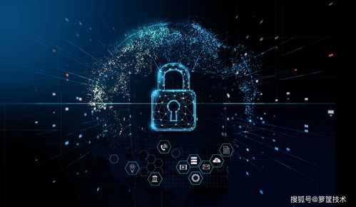 籮筐簽約黑龍江移動，助力市場與服務信息精細化管理升級